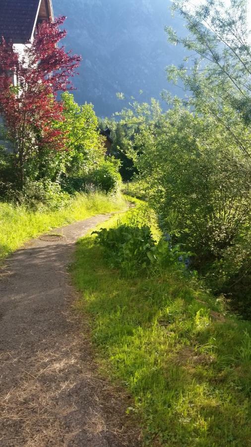 Ferienhaus-Cerny Bad Goisern Esterno foto